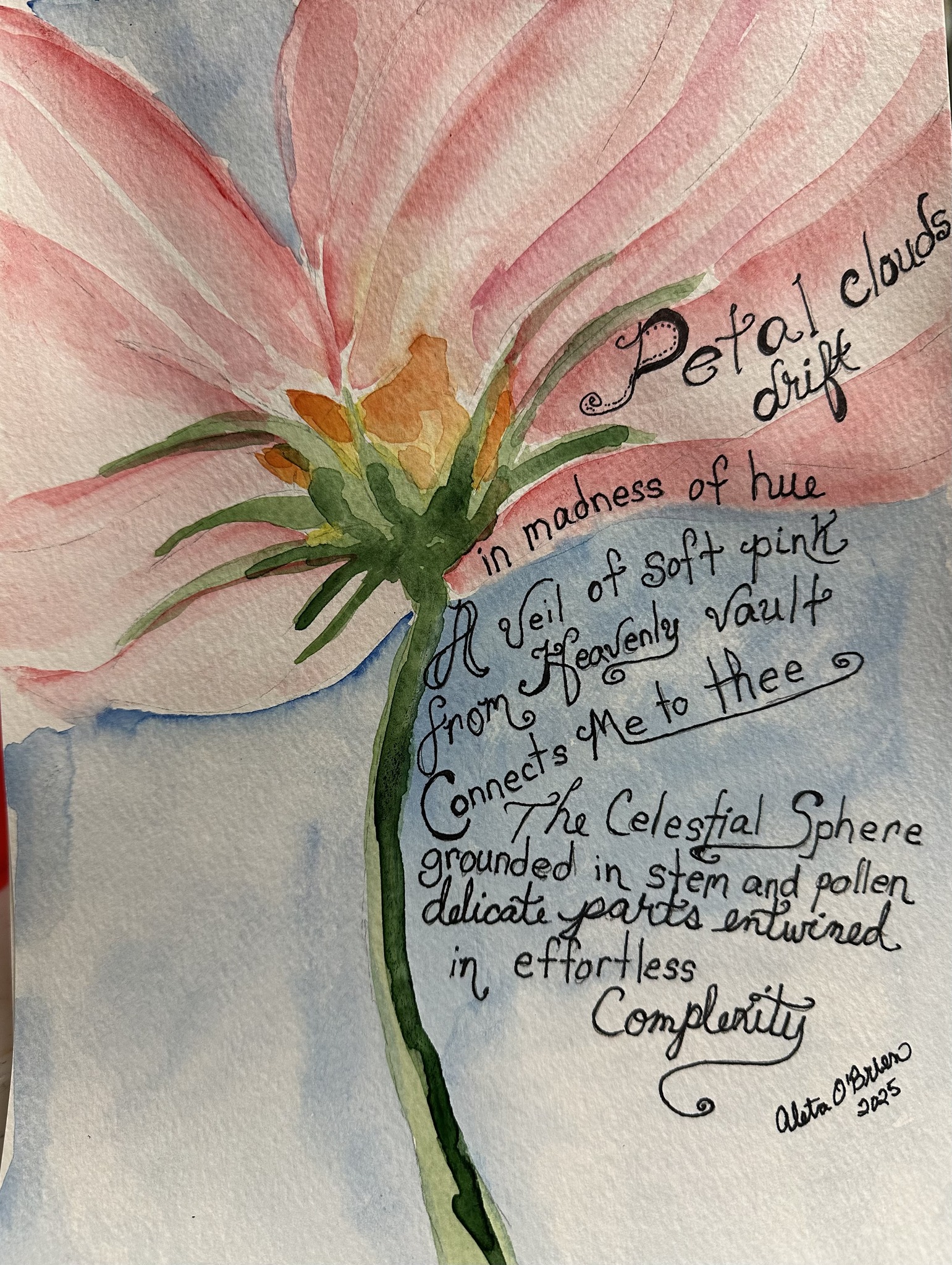 Petals and Poetry