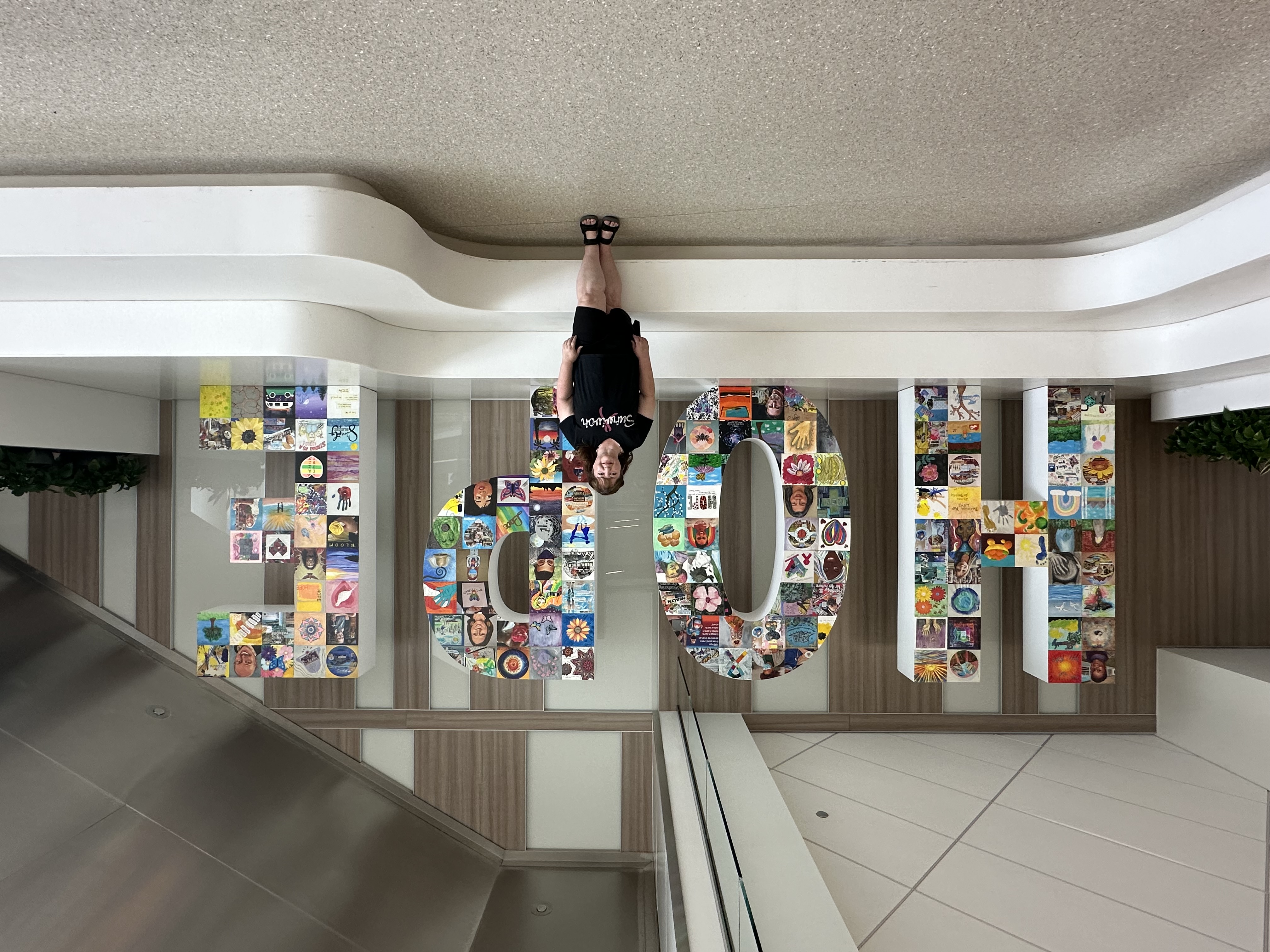 Exhibitions and installations